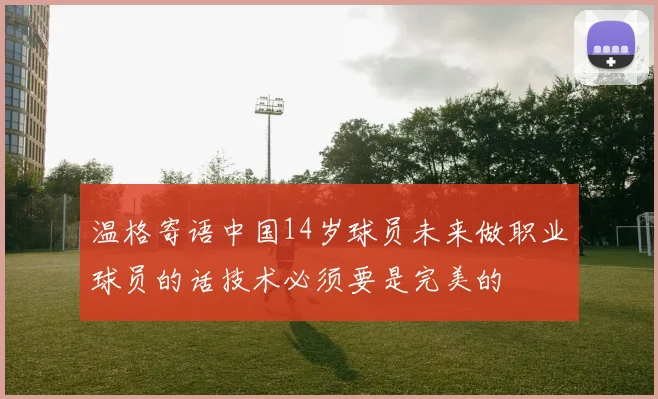 温格寄语中国14岁球员未来做职业球员的话技术必须要是完美的