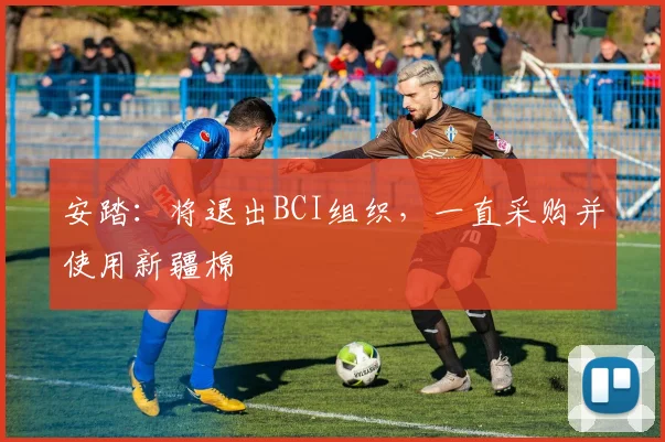 安踏：将退出BCI组织，一直采购并使用新疆棉