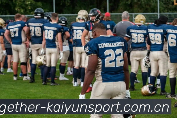 开云体育APP 封面图